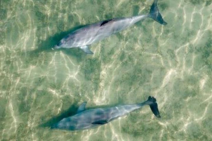 Photo by jennifer b.