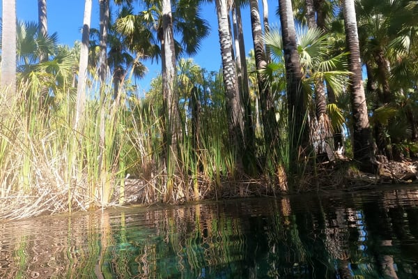 Photo by Colin van den Hoff