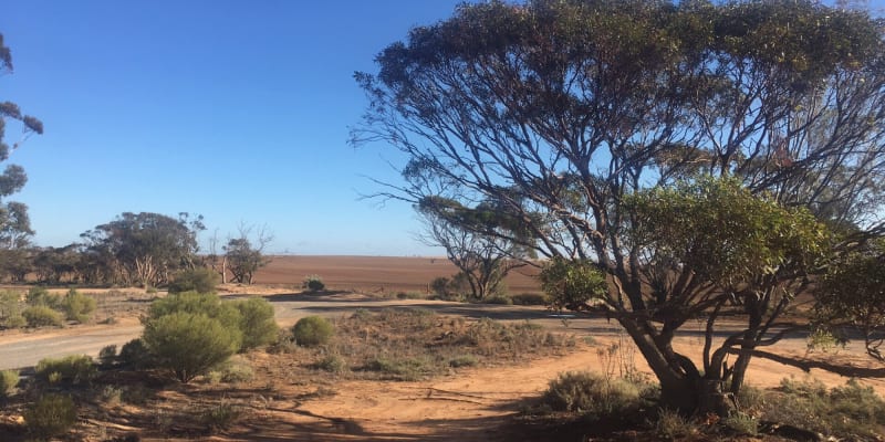 Photo by YoungAdventuresAust