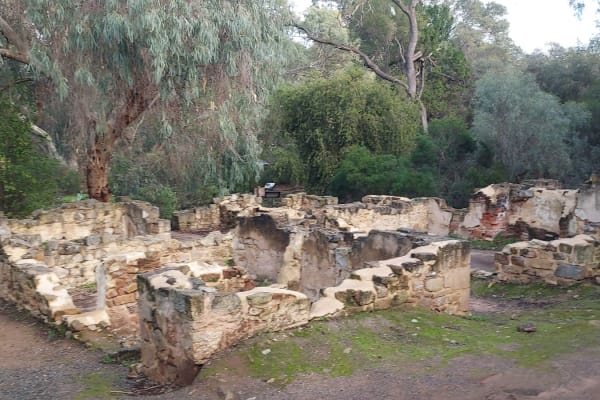 Photo by Nickolas S.