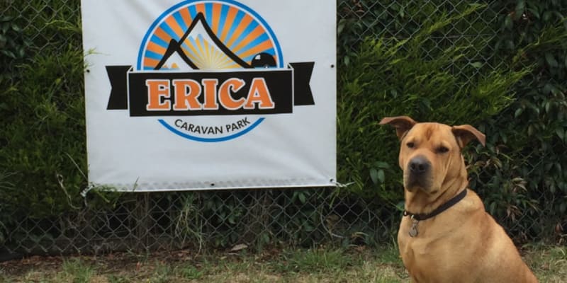 Photo of Erica Caravan Park