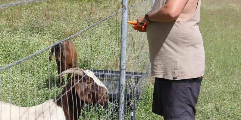 Photo by Mountview farm stay