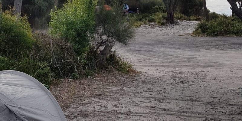 Photo by Christopher H.