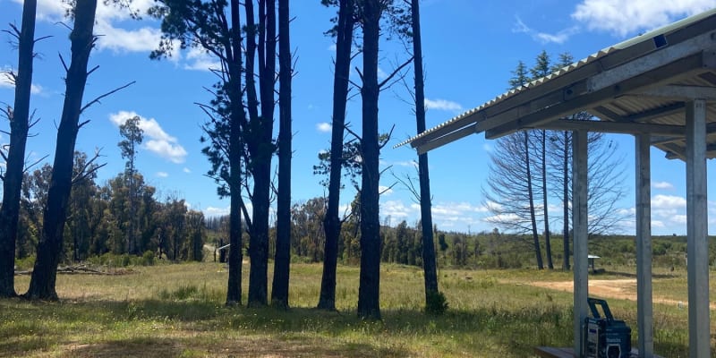 Photo by Daniela Olivera Bermudez