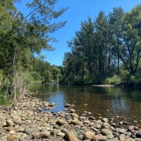 Photo by Louise Le Roux