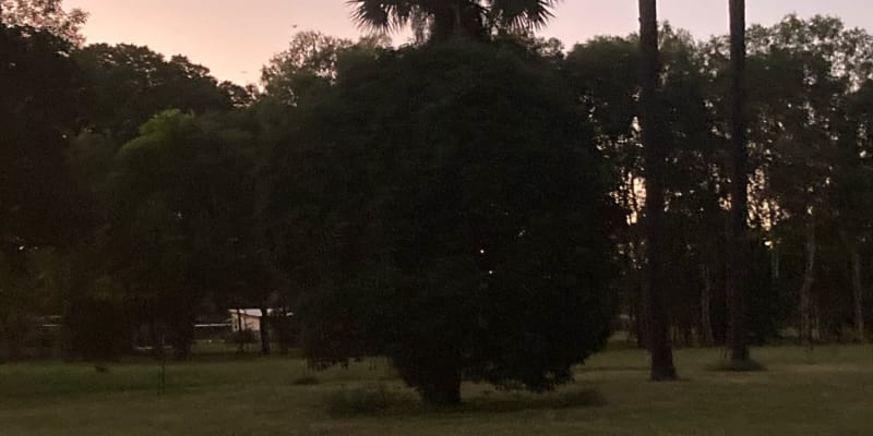 Photo by Lee-Anne F.