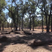 Photo by John-Stewart Bustah Newton-Cecil