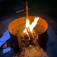 Photo by Elizabeth L.