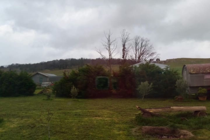 Photo by Jenni-Dawn B.