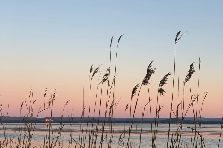 Photo by Catarina A.