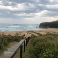 Photo by April Grace Diego