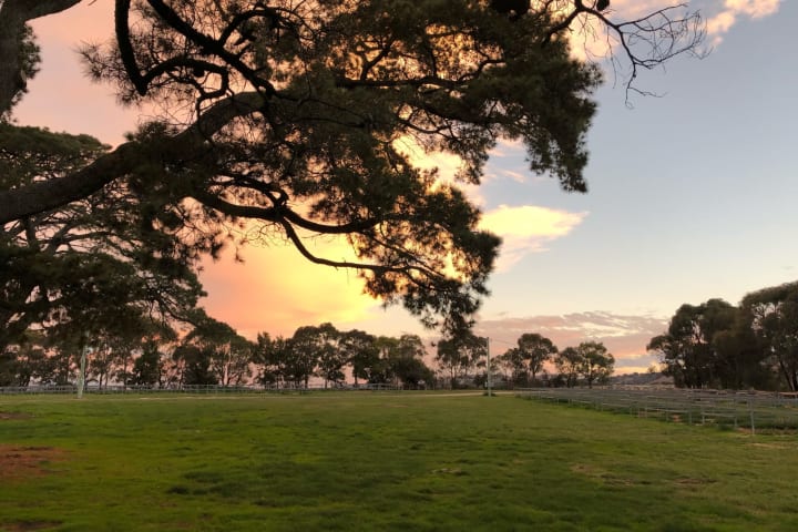 Photo by Brucethegoose