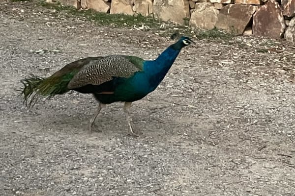 Photo by Kimberley P.