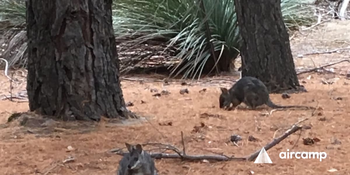 Discovery Parks - Kangaroo Island