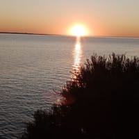 Photo by Christopher S.