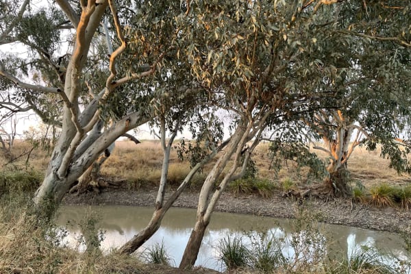 Photo by Happy Hour Hunters