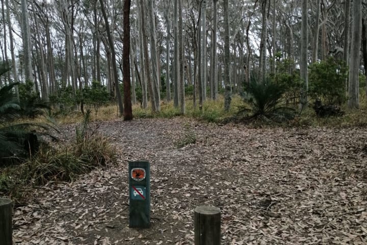 Photo by Ahmad Musa Ababneh