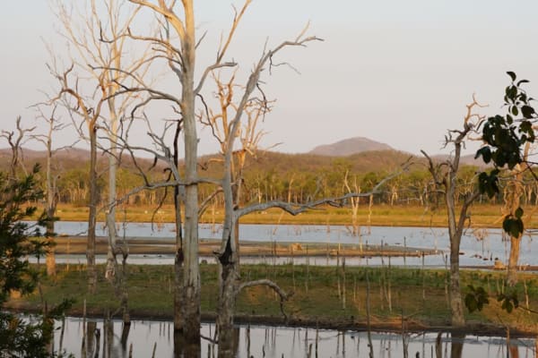 Photo by Kimberley B.