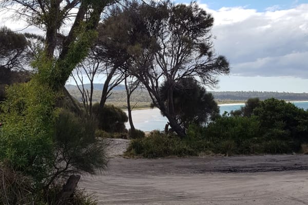 Photo by Christopher H.