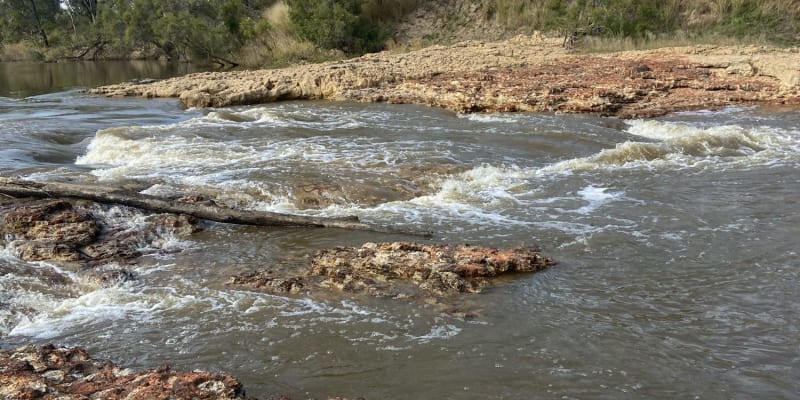 Photo by Felicity V.