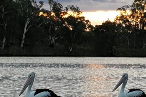 Photo by Michelle D.