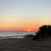 Photo by Brucethegoose