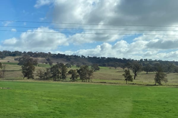 Photo by Lee-Anne F.