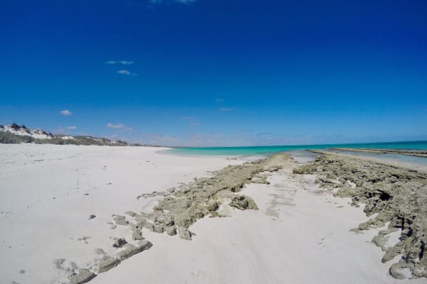 Photo by Kim & Shane