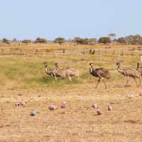 Photo by Off The Trax