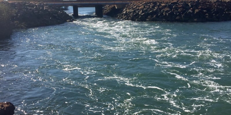 Photo by Kim & Shane