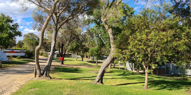 Photo by Kris McLeod (Filotimia Pty Ltd/Kekio Pty Ltd)