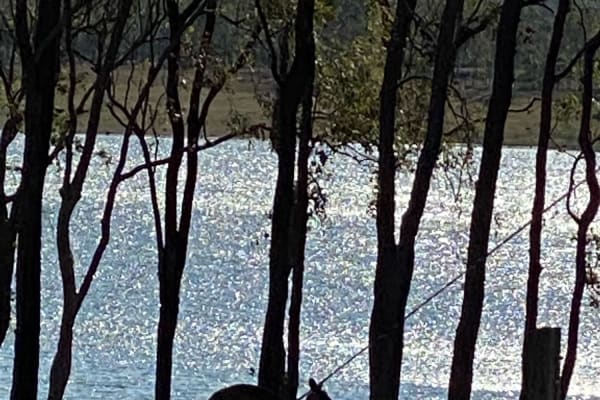 Photo by Cristina B.