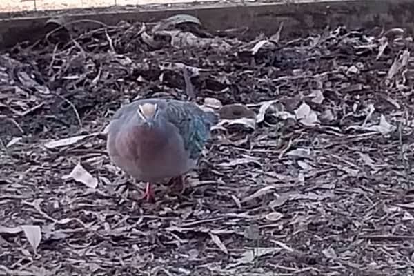 Photo by Colin van den Hoff