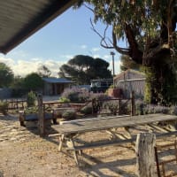 Photo by Charlotte F.