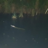 Photo by CATHERINE H.