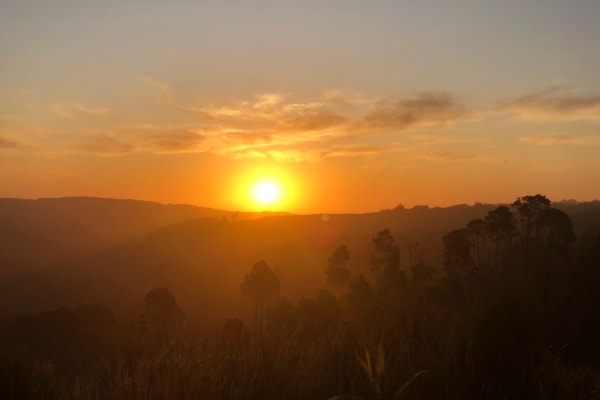 Photo by James Douglas Mitchell