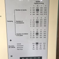 Photo by Darryl Von Spreckelsen