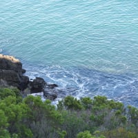 Photo by Brucethegoose