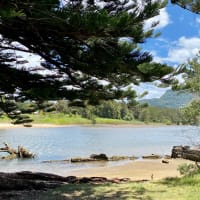 Photo by Krishantha E.