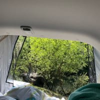 Photo by Jennifer K.