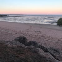 Photo by Elizabeth S.