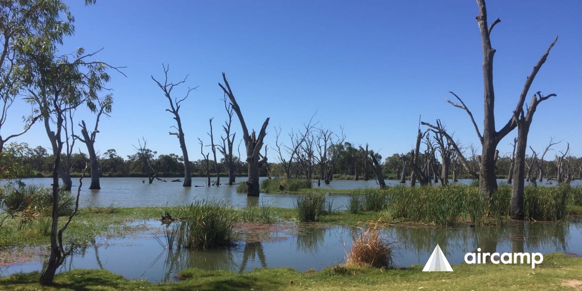 Kingston-on-Murray Caravan Park