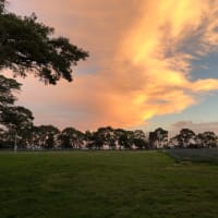 Photo by Brucethegoose