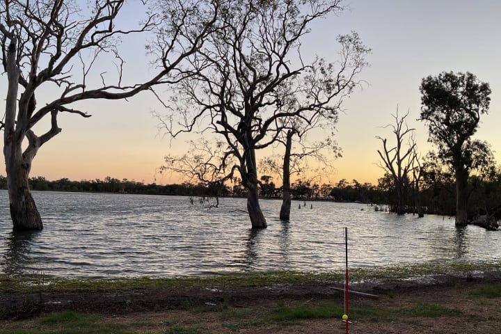 Photo by Caroline P.