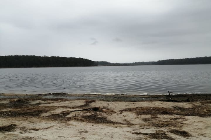 Photo by Ahmad Musa Ababneh