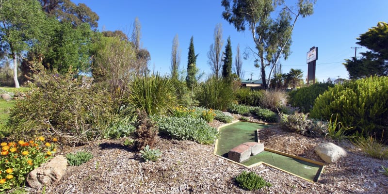 Photo by Michelle W.