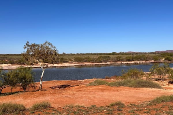 Photo by DelphinusBlue