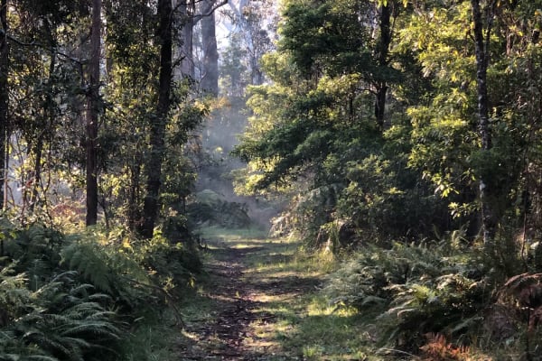 Photo by Brucethegoose