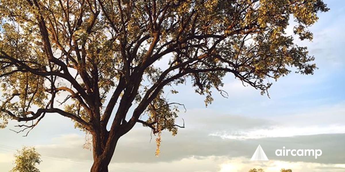 Roseneath Station Anycamp