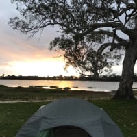 Photo by Michelle C.